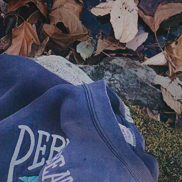 petrichor cover art