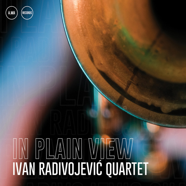 In Plain View cover art