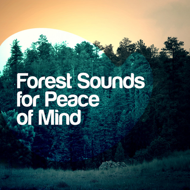 Forest Sounds for Peace of Mind cover art