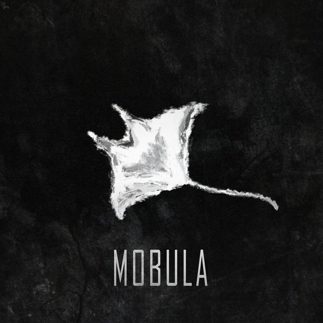 Mobula