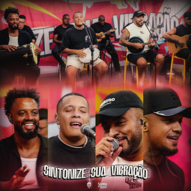 Sintonize Sua Vibração (Ao Vivo) cover art