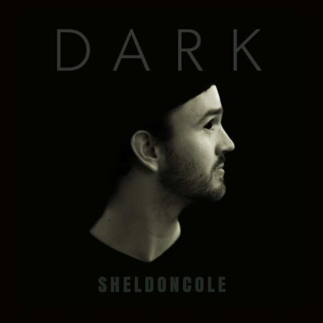 Dark cover art