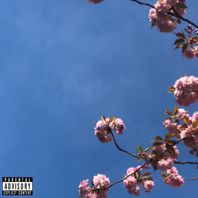 Pink cover art