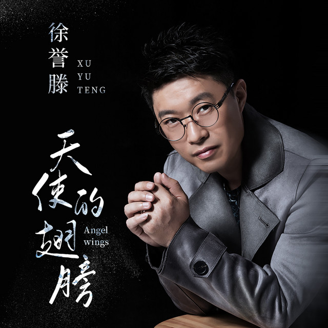 天使的翅膀 cover