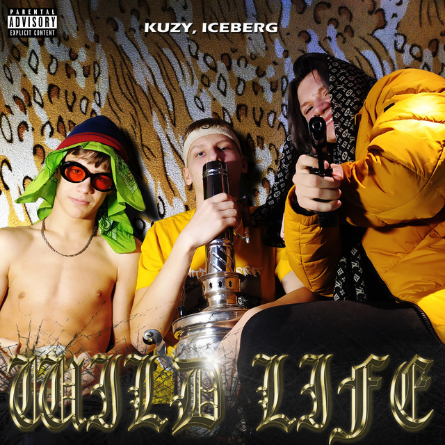 Wild Life cover art