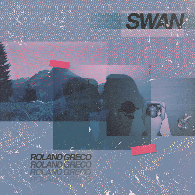 Swan cover art