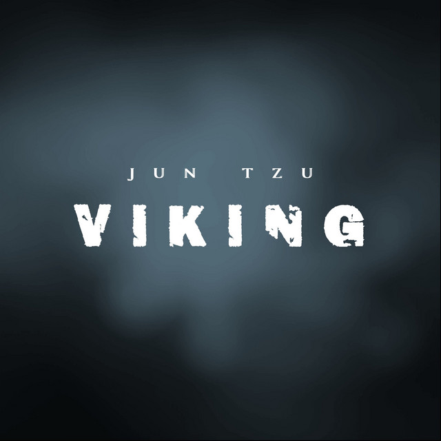 Viking cover art