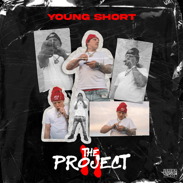 The Project II cover art