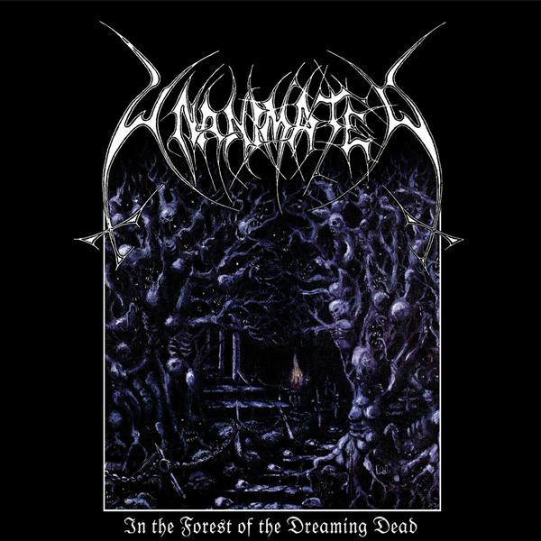 In The Forest Of The Dreaming Dead cover art