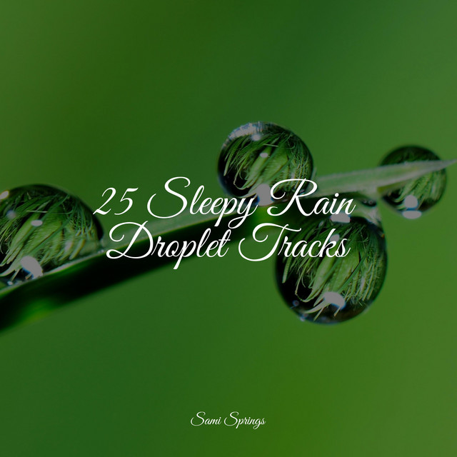 25 Sleepy Rain Droplet Tracks - Album by Rain Sounds Sleep | Spotify