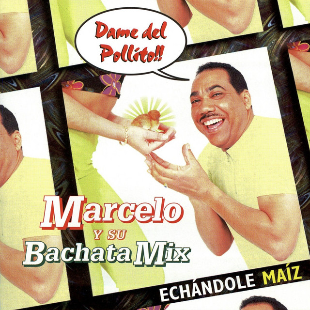 Echándole Maíz (Dame del Pollito!!) cover art