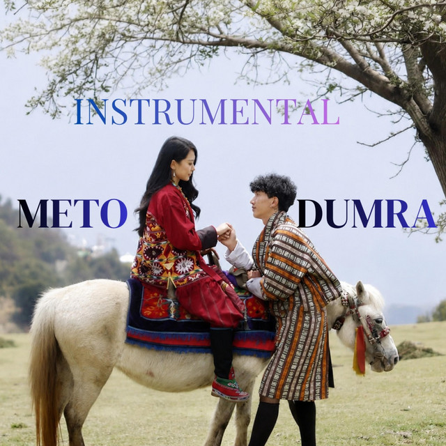 METO DUMRA (INSTRUMENTAL) album image