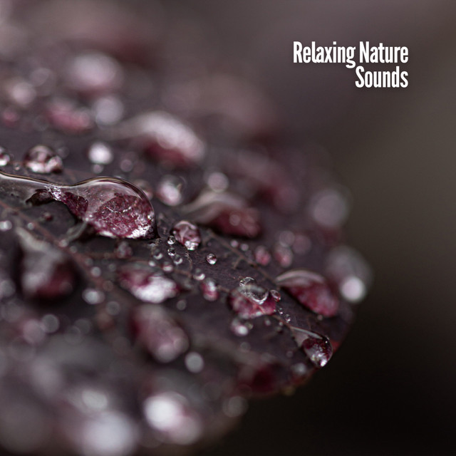 Relaxing Nature Sounds cover art