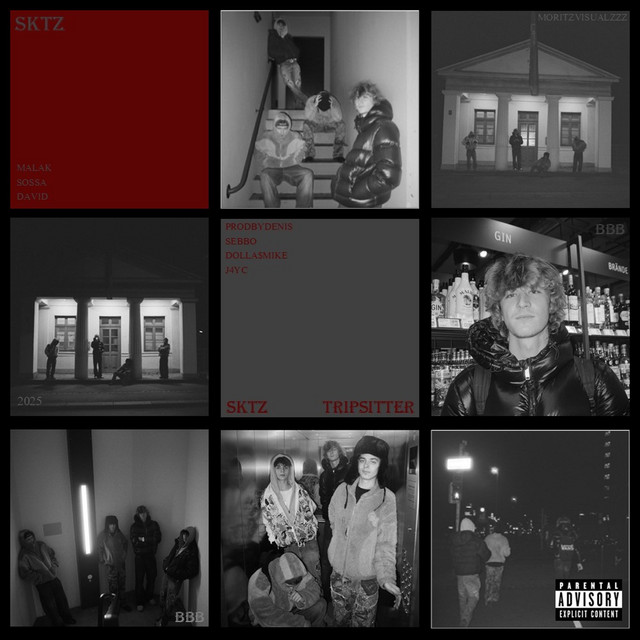 TRIPSITTER cover art