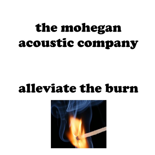 Alleviate the Burn... cover art