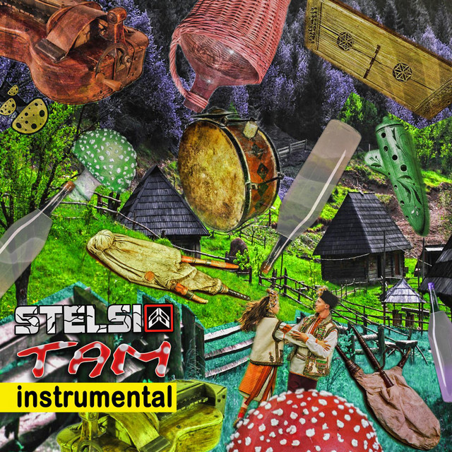 Обкладинка: Tam - Instrumental — Stelsi