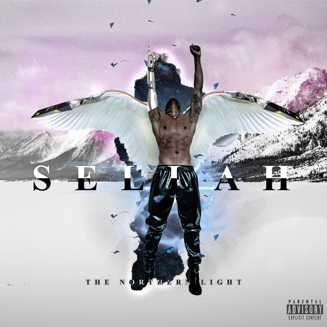 The Northern Light cover art