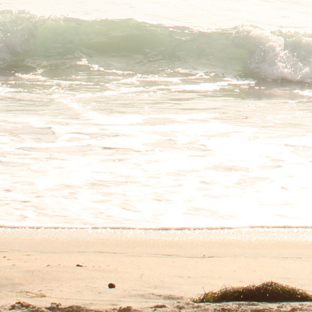 ripcurrent cover art