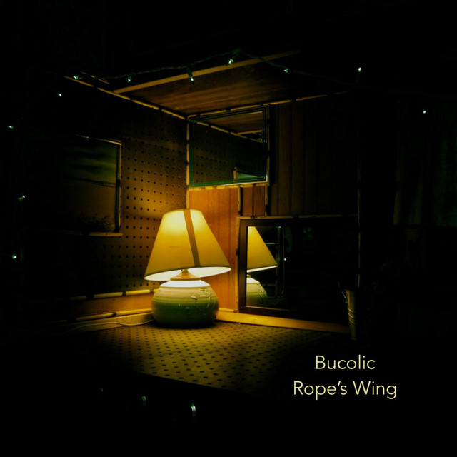 Rope's Wing cover art