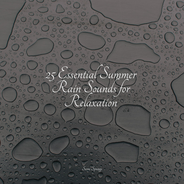 25 Essential Summer Rain Sounds for Relaxation - Album by Amazing Spa ...
