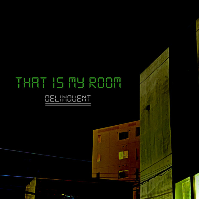 That is my room cover art