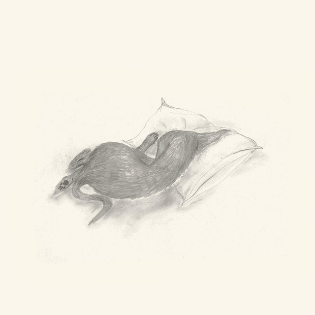 pillows cover art