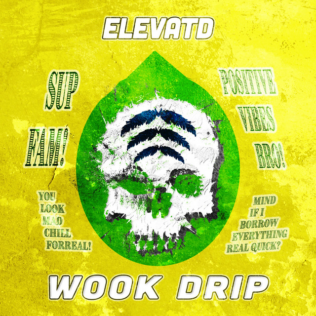 Wook Drip cover art