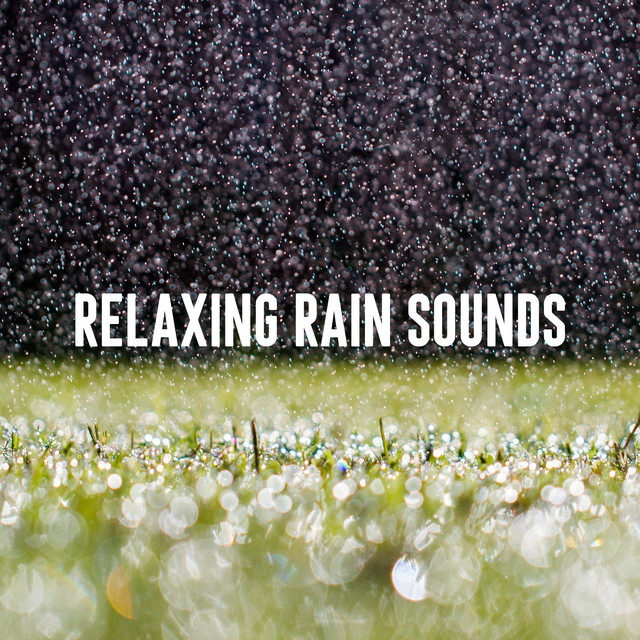 Soothing Relaxation Rain