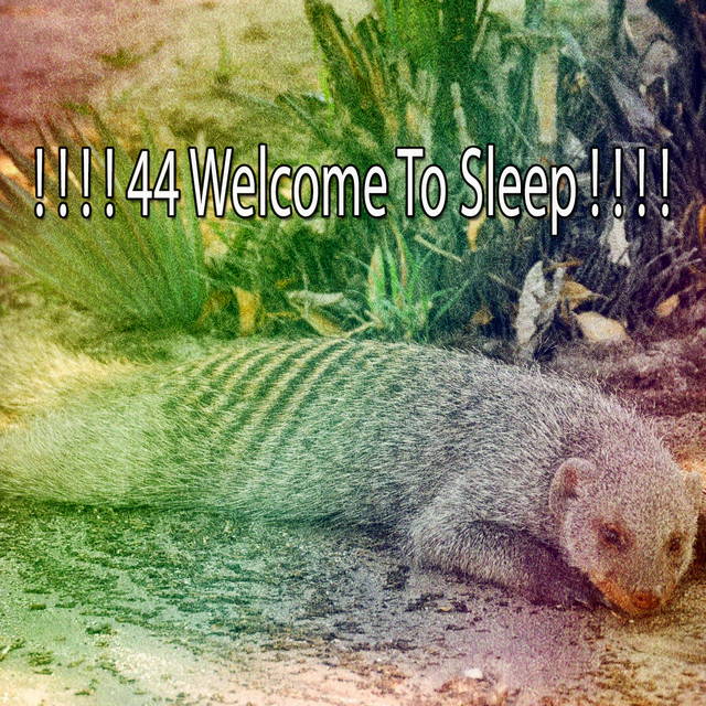 44 Welcome To Sleep ! ! ! ! - Album by Deep Sleep Music Experience ...