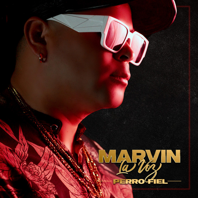 Marvin La Voz