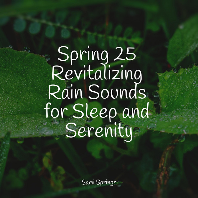 Spring 25 Revitalizing Rain Sounds for Sleep and Serenity - Album by ...