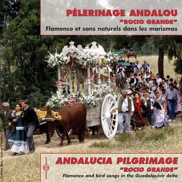 Andalucian Pilgrimage "Rocio Grande"