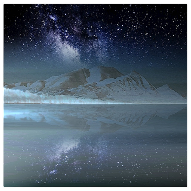 Nocturnal Winter cover