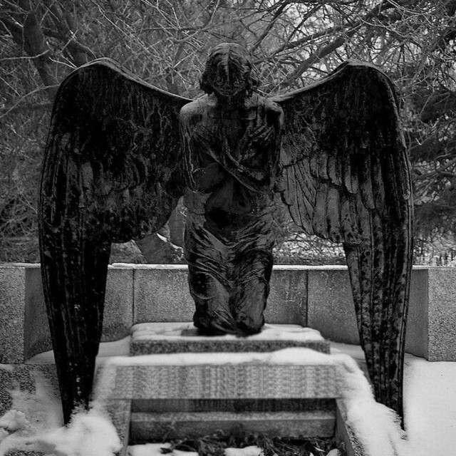 ÁNGEL DEL MAL ll
