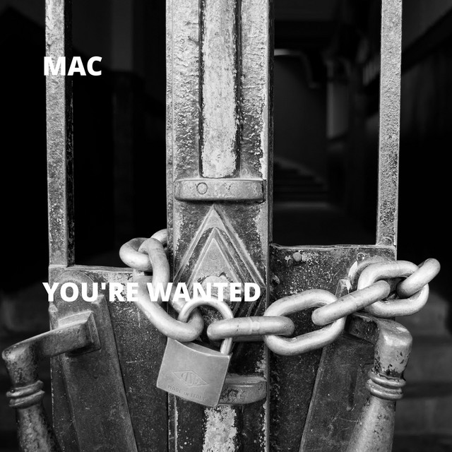 You're Wanted cover art
