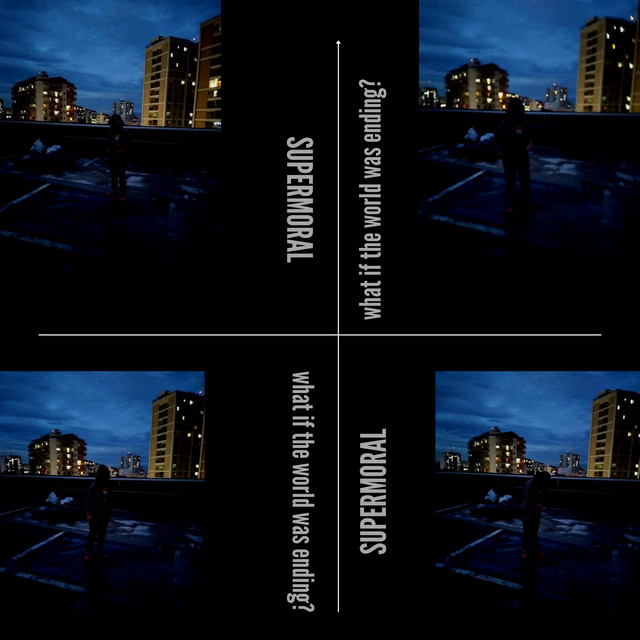 what if the world was ending? cover art