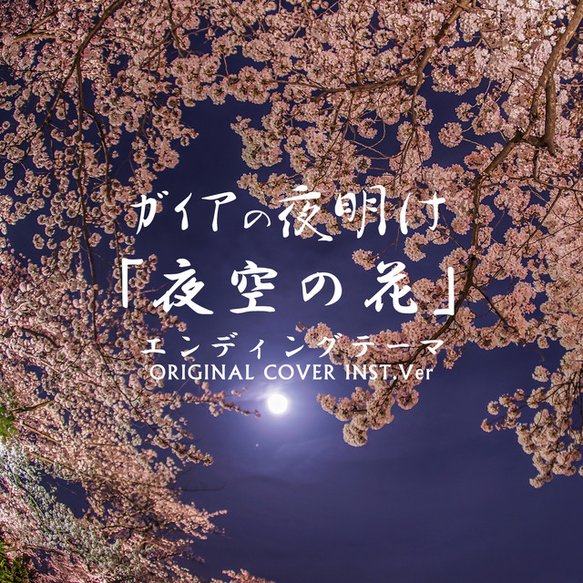 ガイアの夜明け 夜空の花 ORIGINAL COVER ‑ 曲・歌詞：NIYARI計画