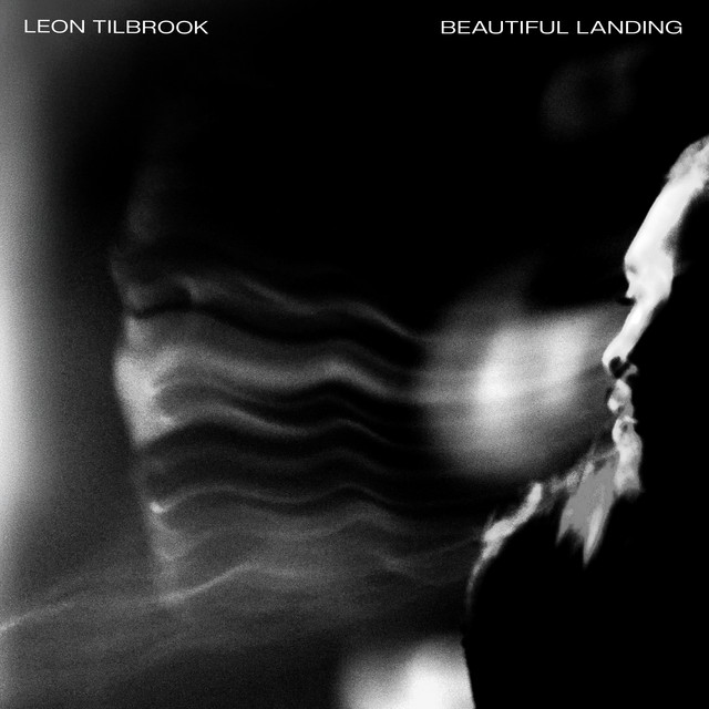 Beautiful Landing cover art
