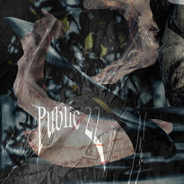 Public22 cover art