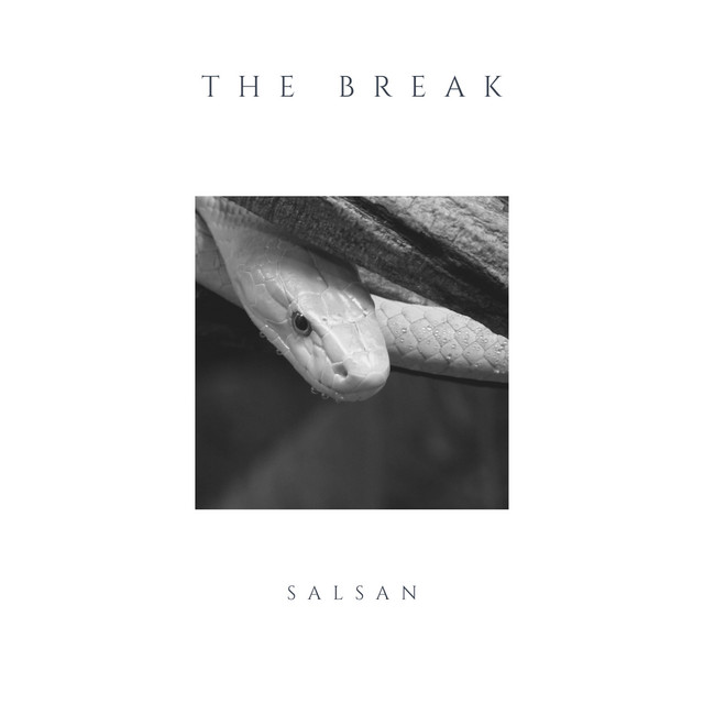 The Break cover art