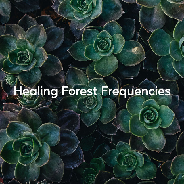 Healing Forest Frequencies (Solfeggio Spa Meditation)