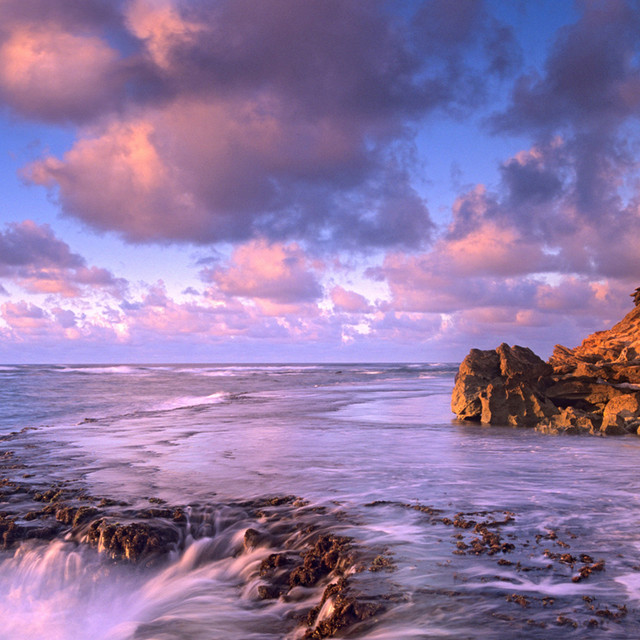 Rocky Beach cover art
