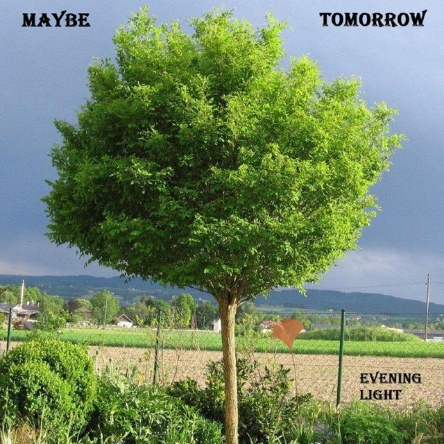 Evening Light cover art