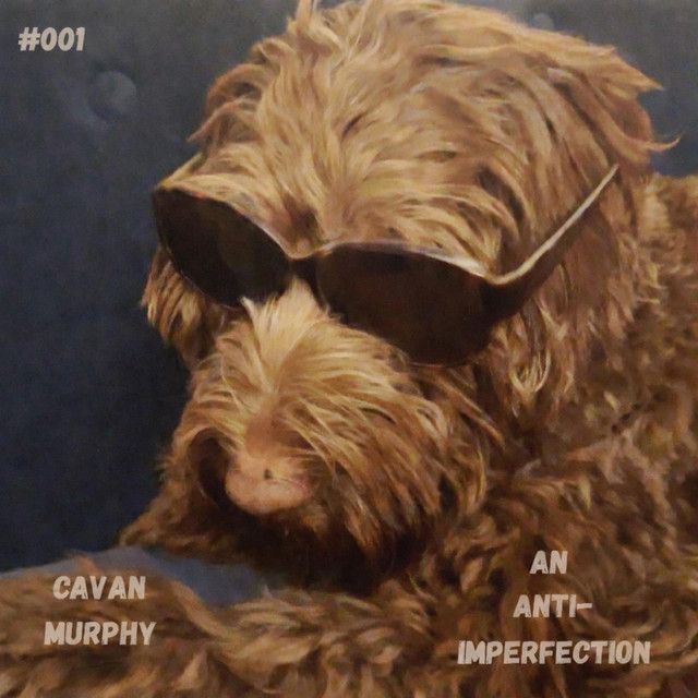 An Anti-Imperfection cover art