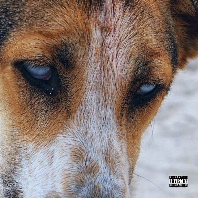 Iris cover art