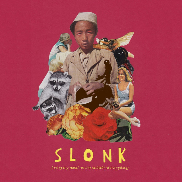 Losing My Mind On The Outside Of Everything cover art