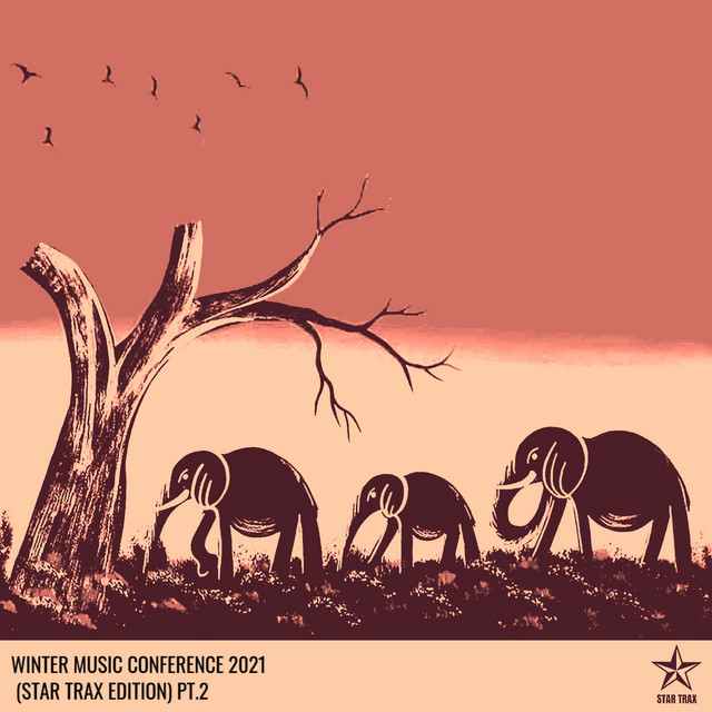 WINTER MUSIC CONFERENCE 2021 (STAR TRAX EDITION) PT.2 cover art