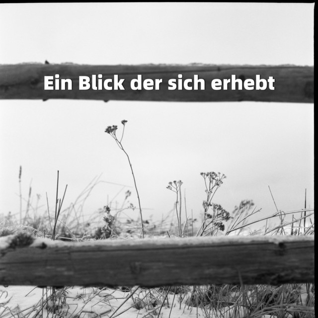 Andreas Lenz