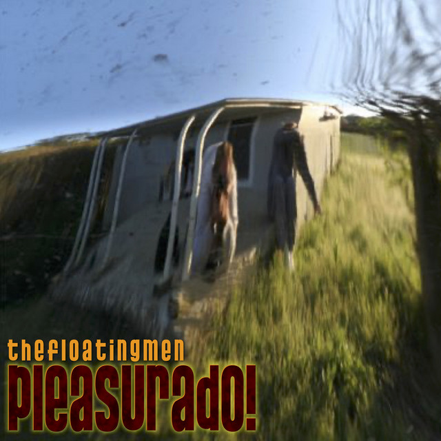 Pleasurado! cover art