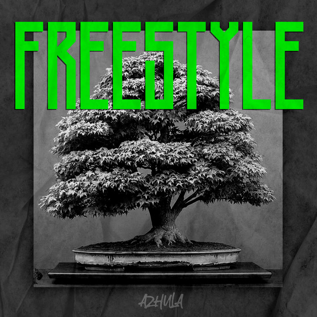 Freestyle cover art